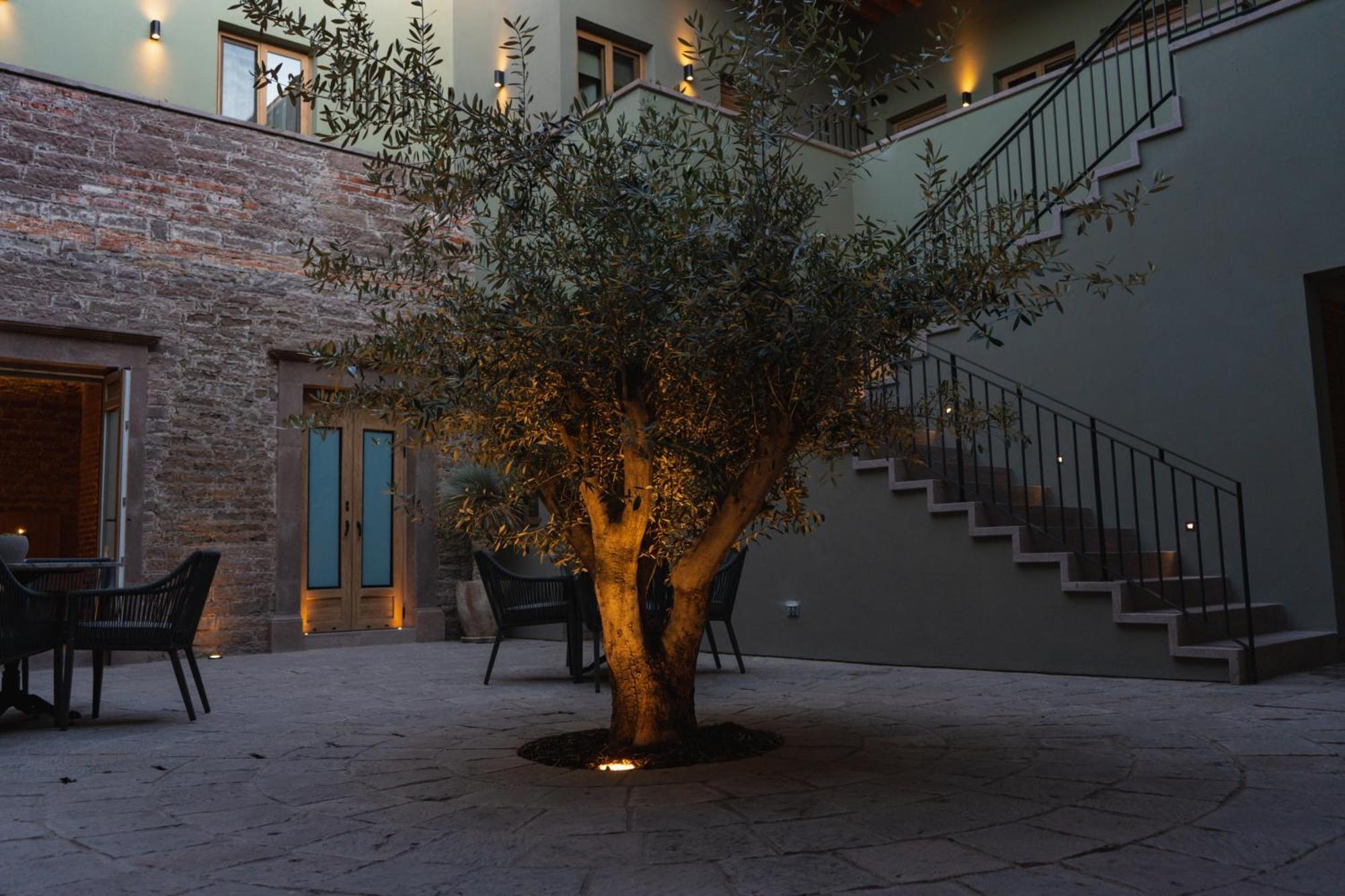 Hotel Casa Aranzazu San Luis Potosí Exterior foto